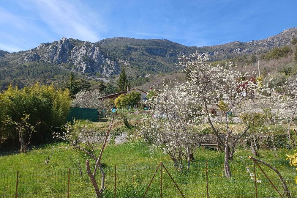 Photo of Outdoor in Gorbio