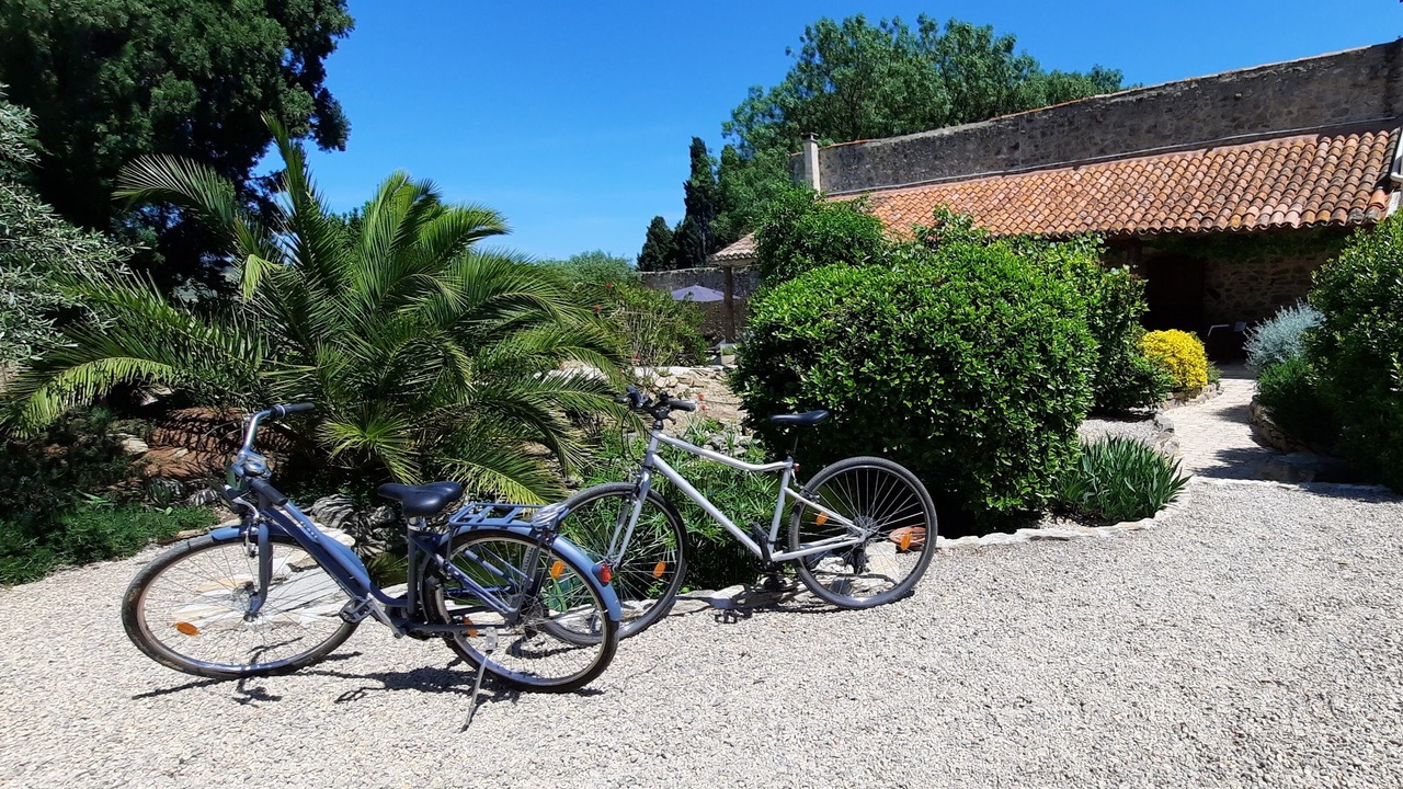 Photo of Outdoor in Mailhac