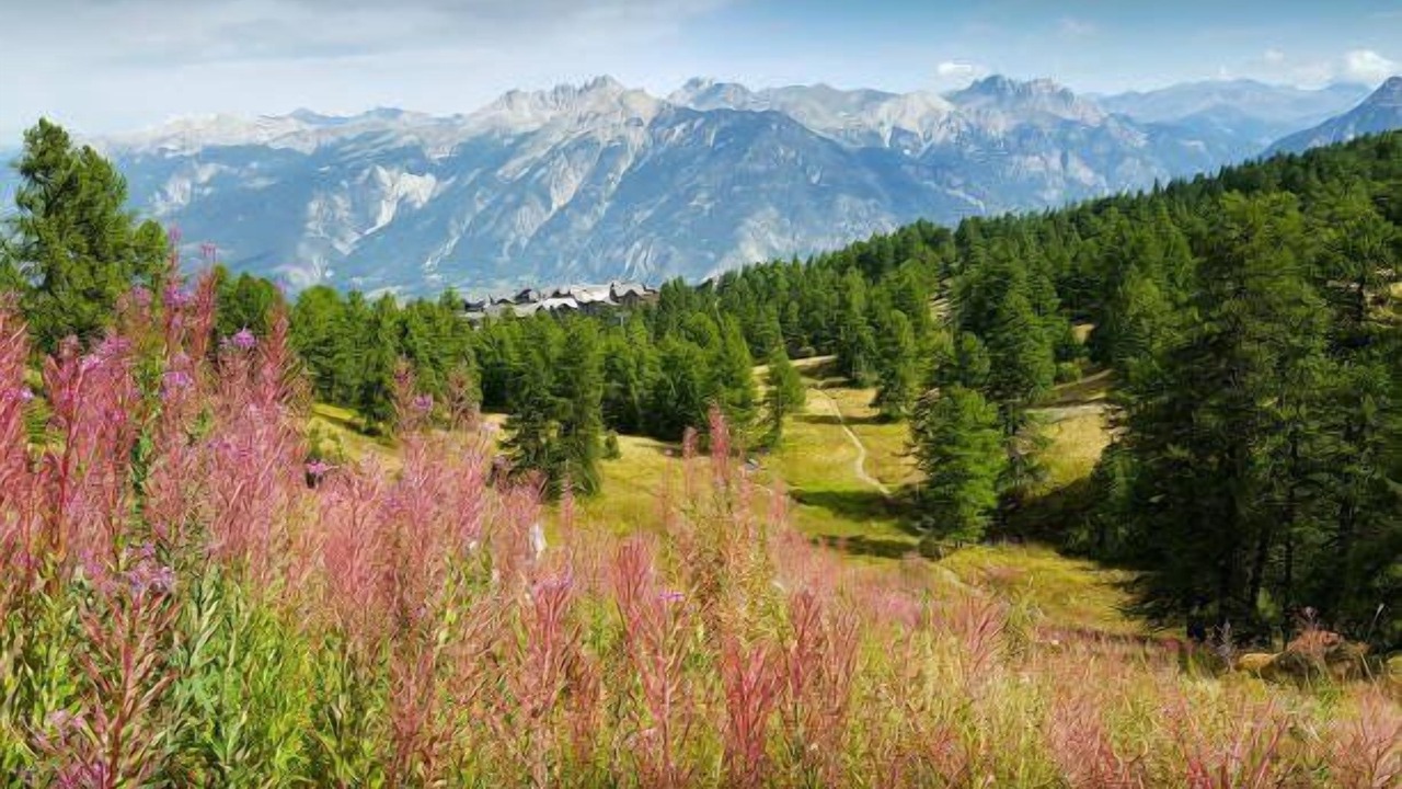 Photo of Outdoor in Vars