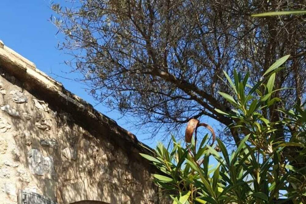 Photo of Patio Balcony in Maussane-les-Alpilles