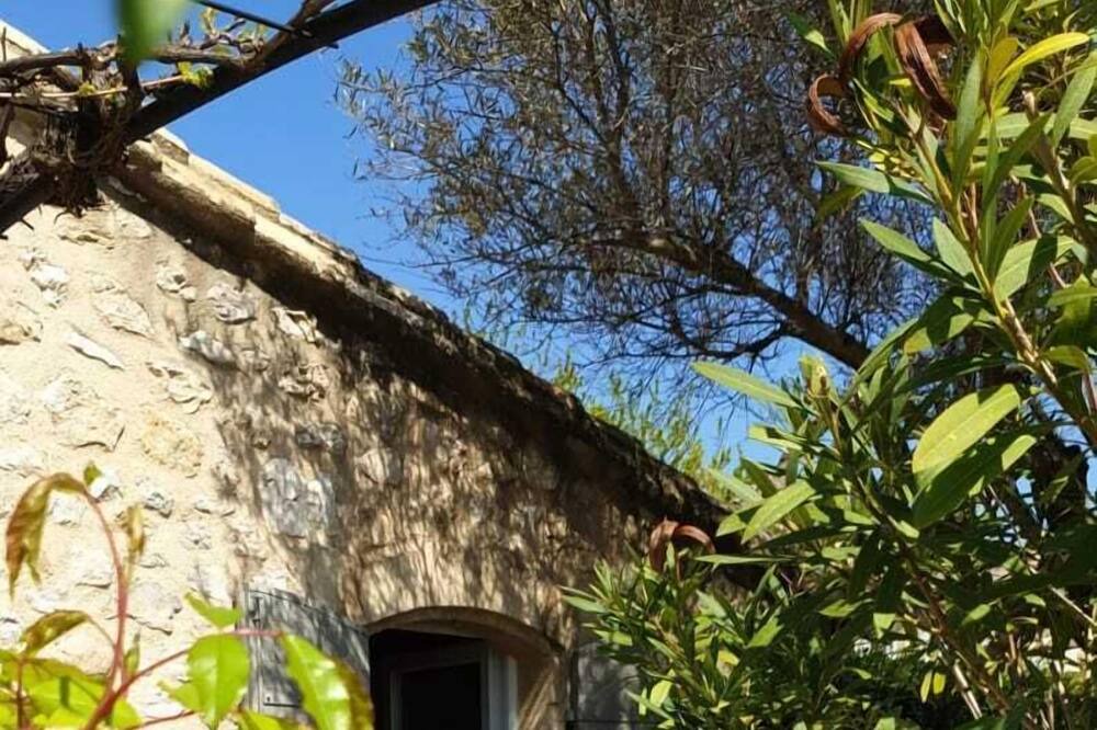 Photo of Outdoor in Maussane-les-Alpilles