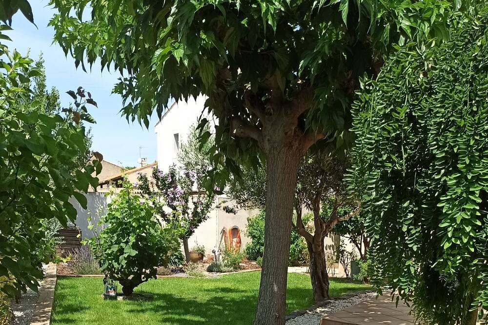 Photo of Outdoor in Villeneuve-les-Beziers
