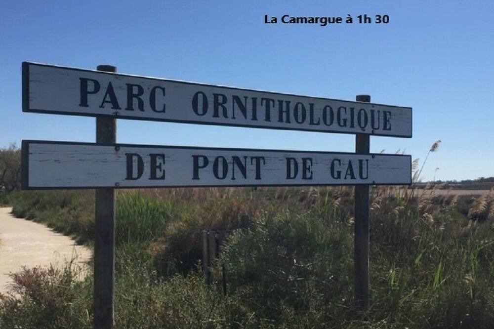 Photo of Outdoor in Montolivet
