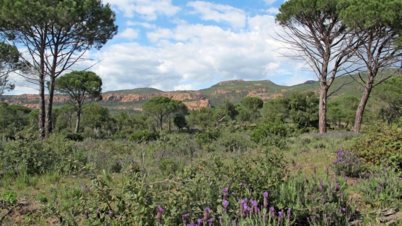 Photo of Outdoor in La Motte