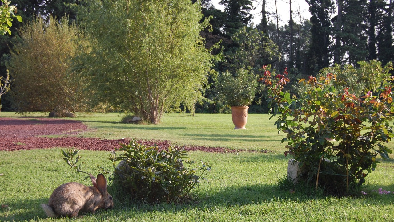 Photo of Outdoor in Cabannes