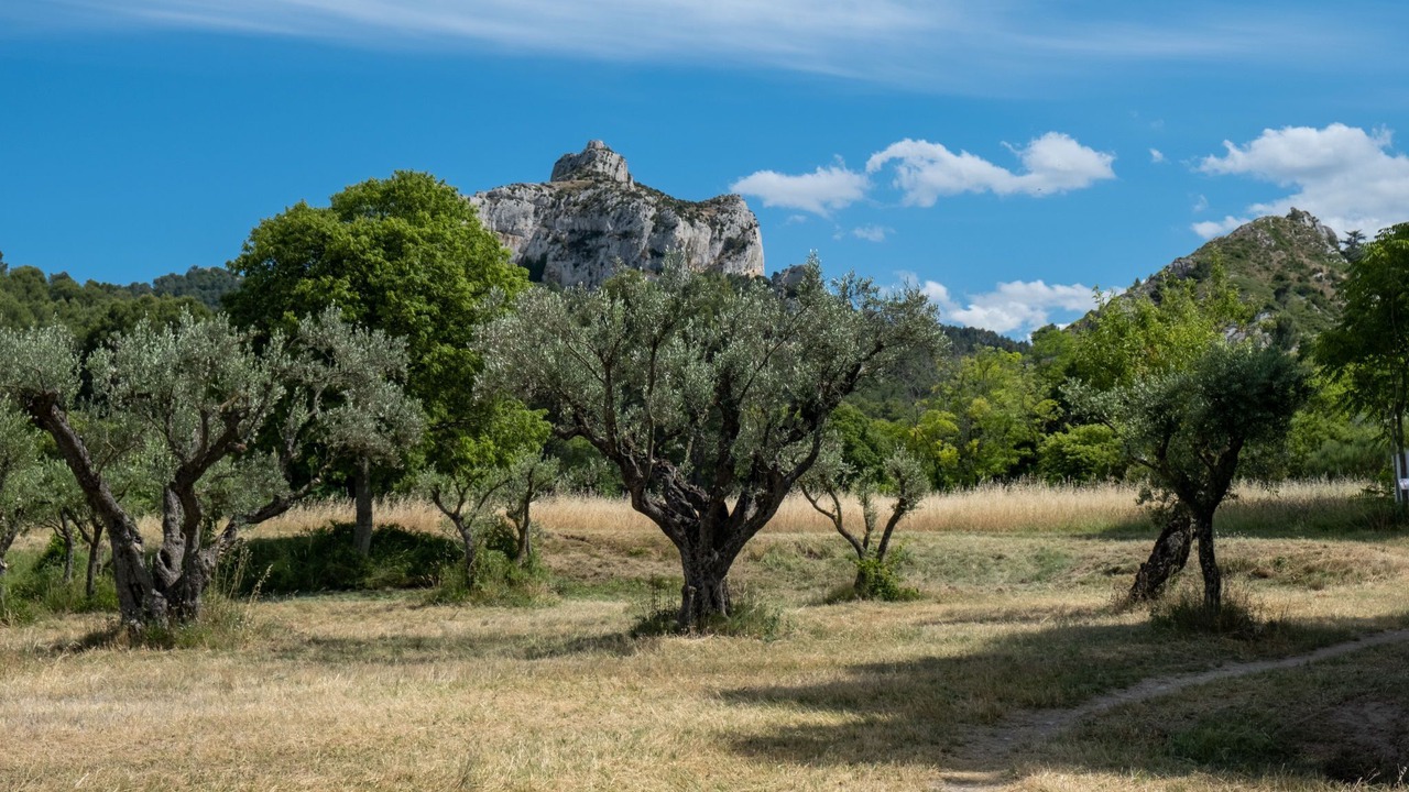 Photo of Outdoor in St.-Remy-de-Provence