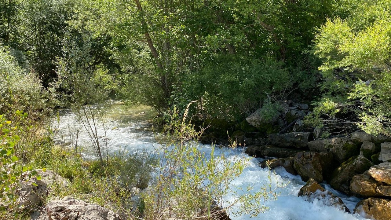 Photo of Outdoor in Comps-sur-Artuby