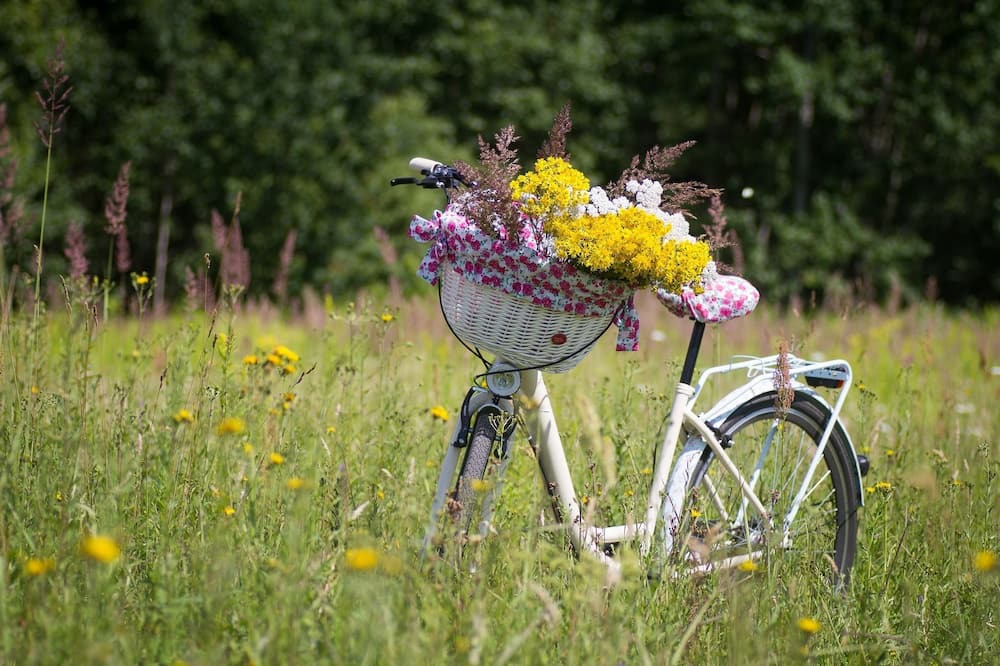 Photo of Outdoor in St.-Remy-de-Provence