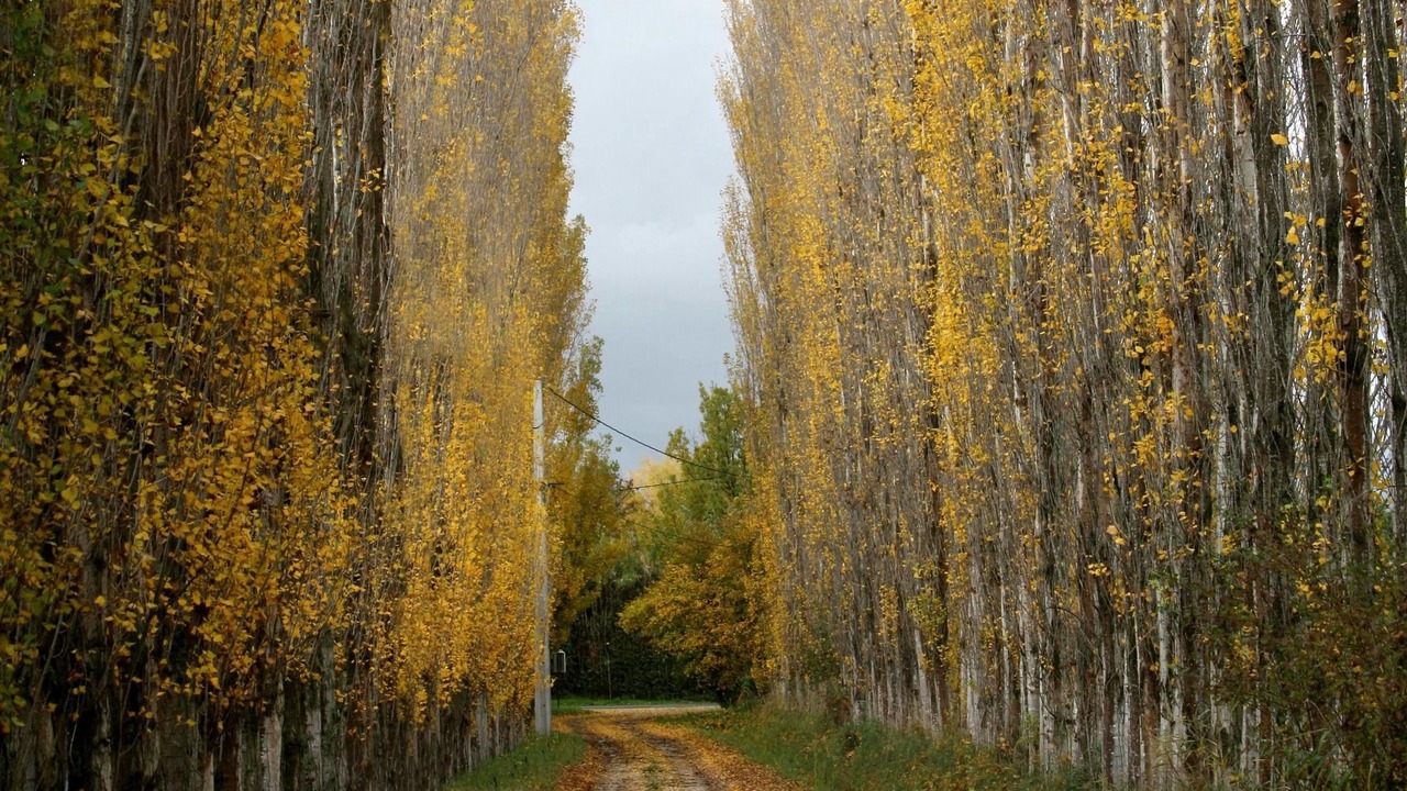 Photo of Outdoor in Alleins
