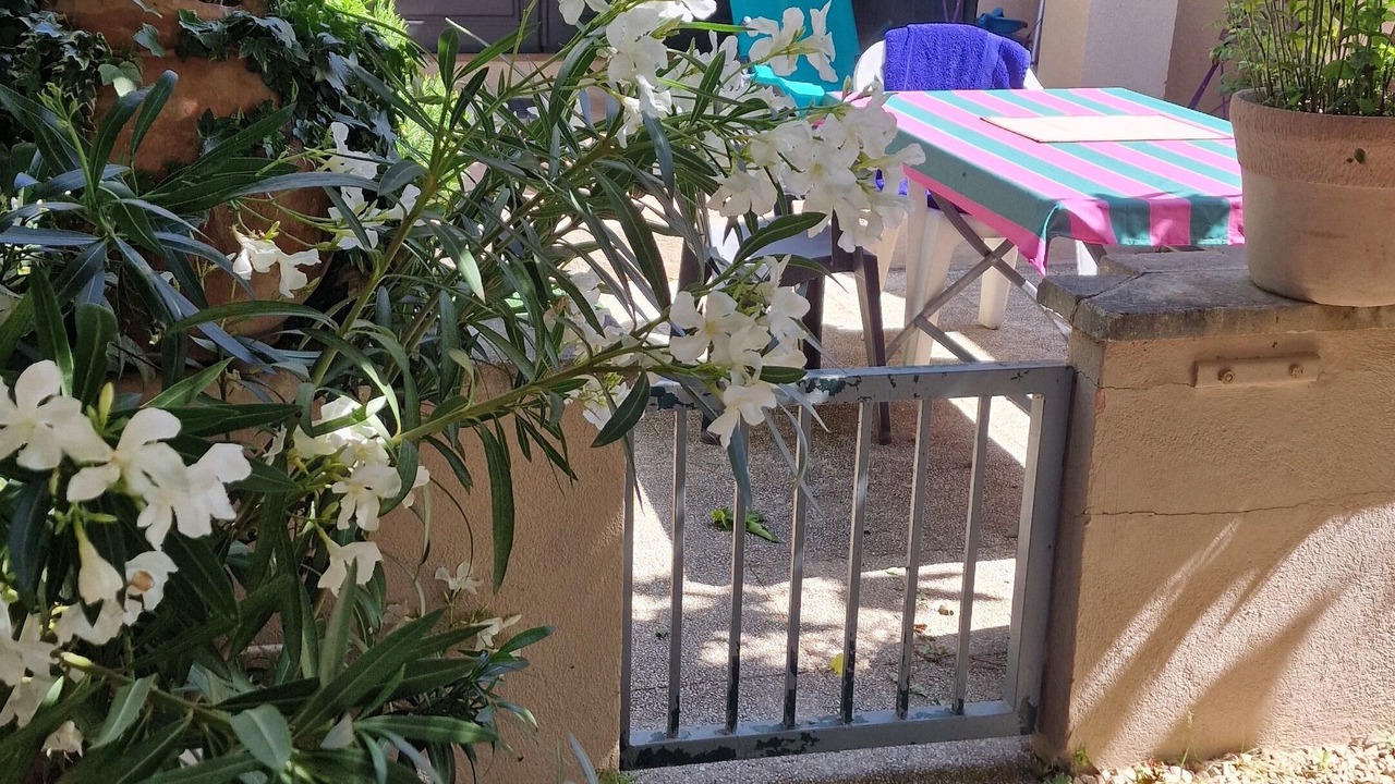 Photo of Outdoor in Mouries