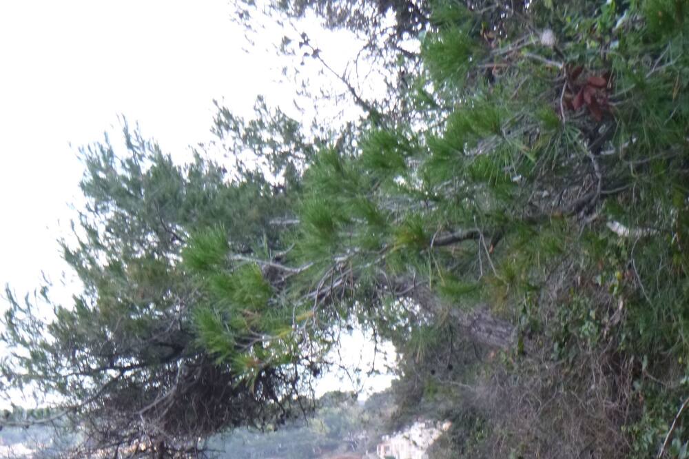 Photo of Others in Les Lecques