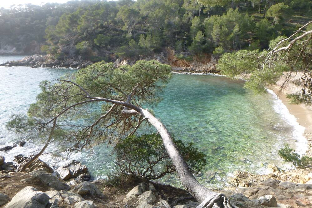 Photo of Others in Les Lecques