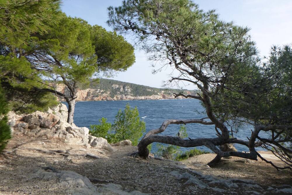 Photo of Others in Les Lecques