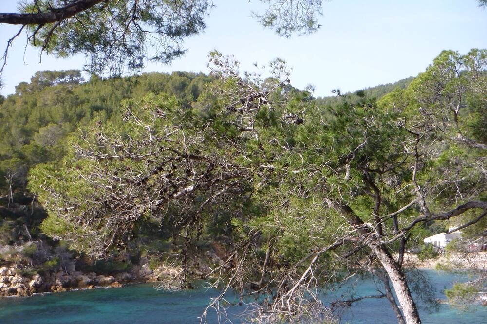 Photo of Others in Les Lecques