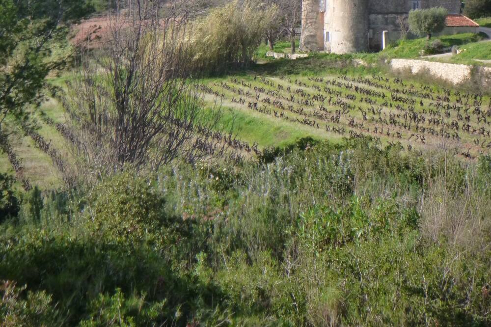 Photo of Outdoor in Les Lecques