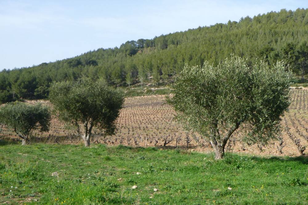 Photo of Outdoor in Les Lecques