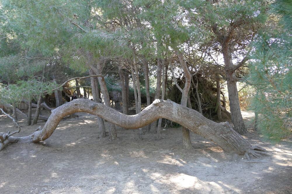 Photo of Outdoor in Six-Fours-les-Plages
