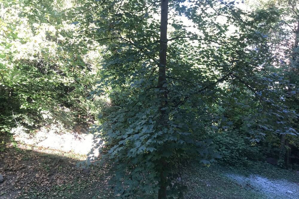 Photo of Outdoor in Gap