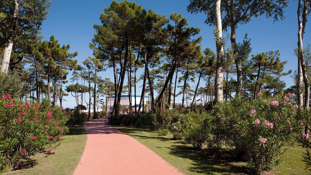 Photo of Others in Lignano Riviera