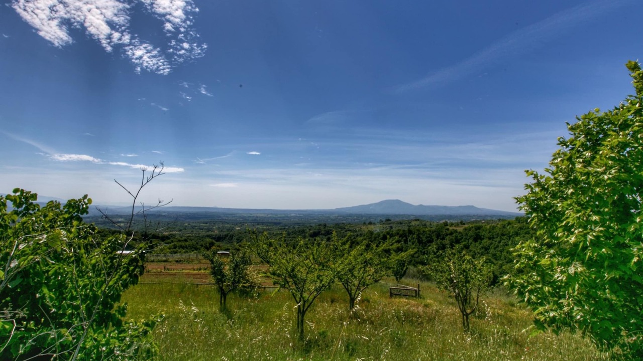 Photo of Others in Civitella d'Agliano