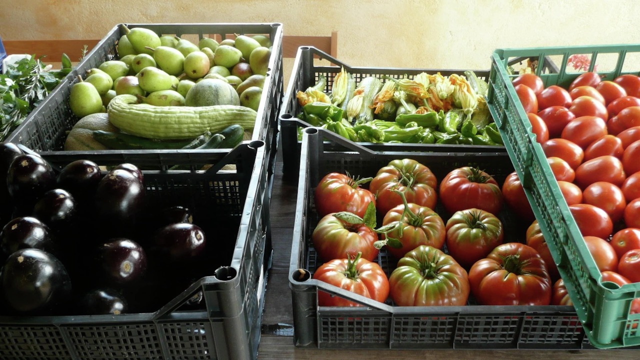 Photo of Others in Civitella d'Agliano