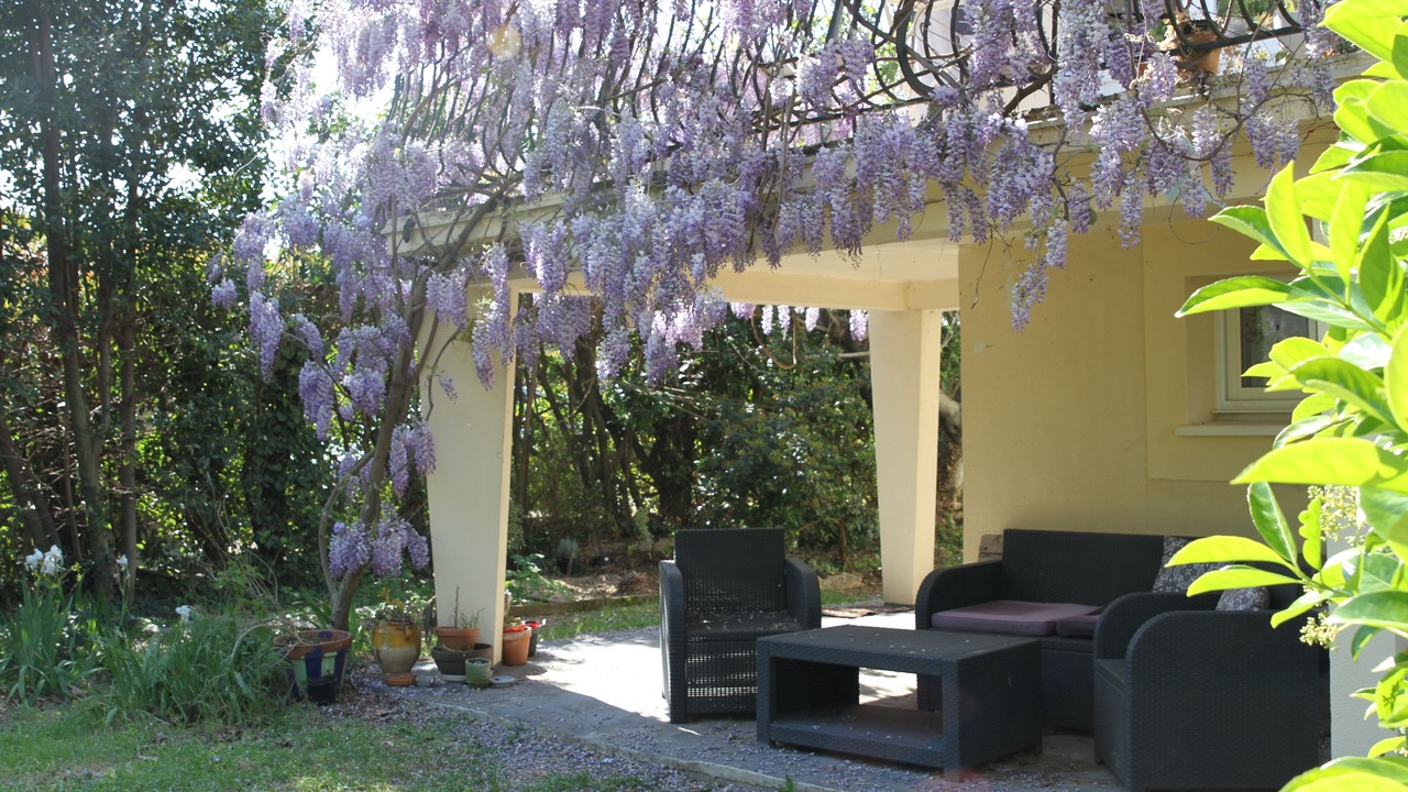 Photo of Outdoor in Pignan