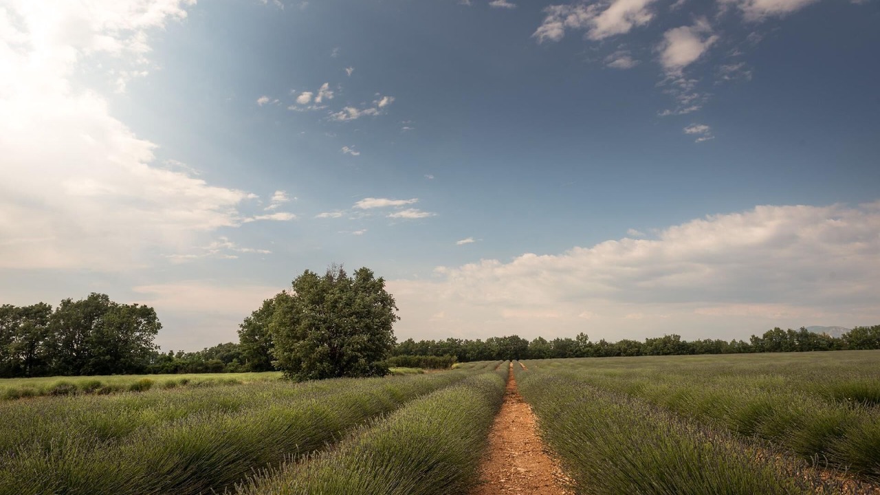 Photo of Outdoor in Vence