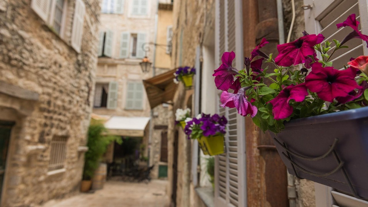 Photo of Outdoor in Vence