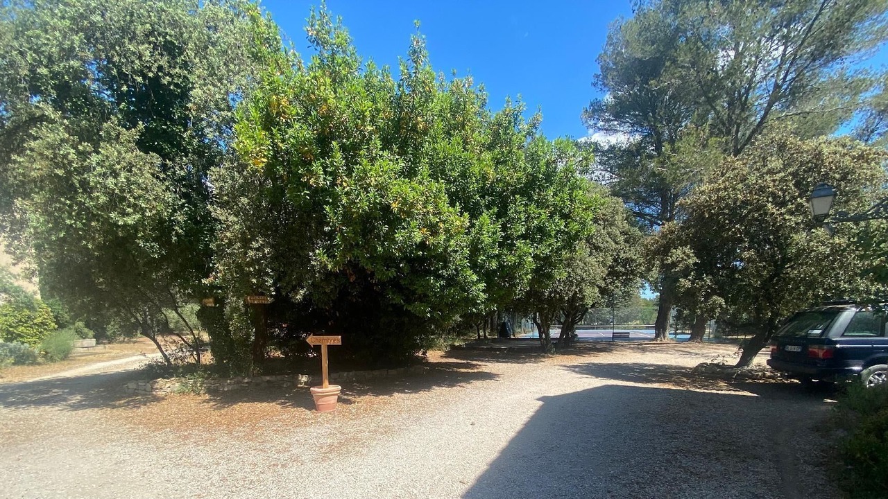 Photo of Outdoor in Grans