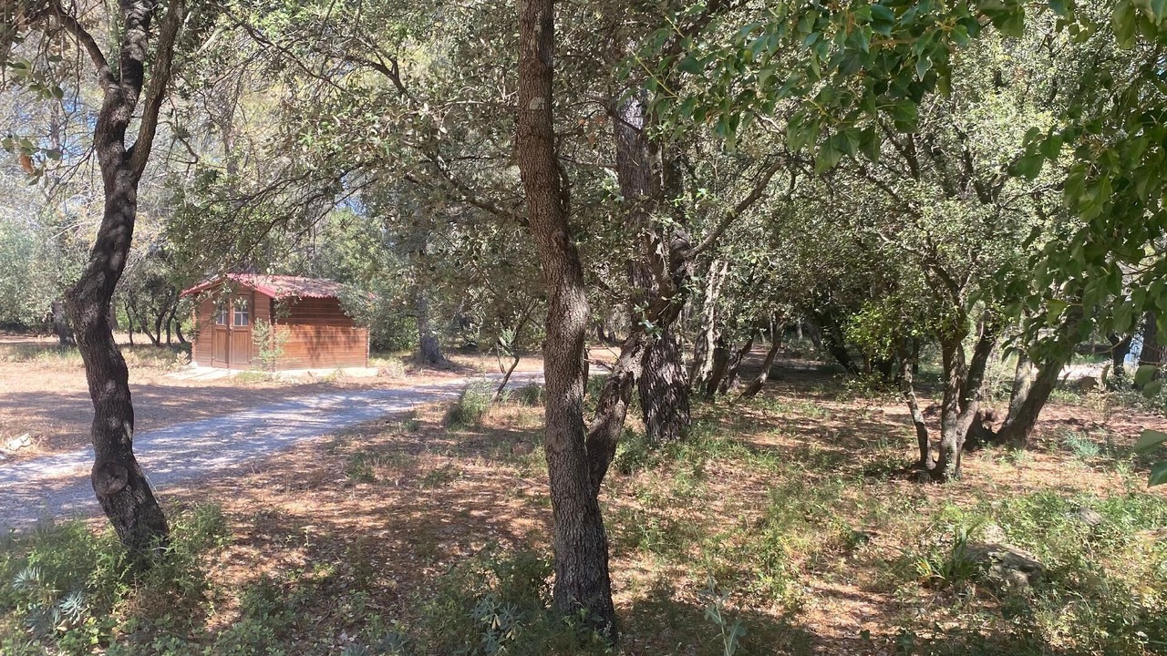 Photo of Outdoor in Grans