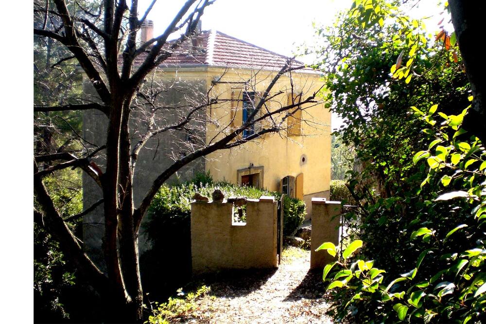 Photo of Outdoor in Tourrettes