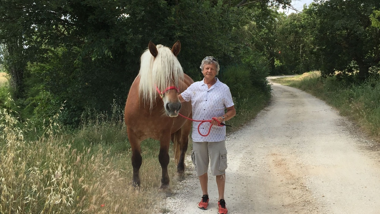 Photo of Others in Saint-Quentin-la-Poterie