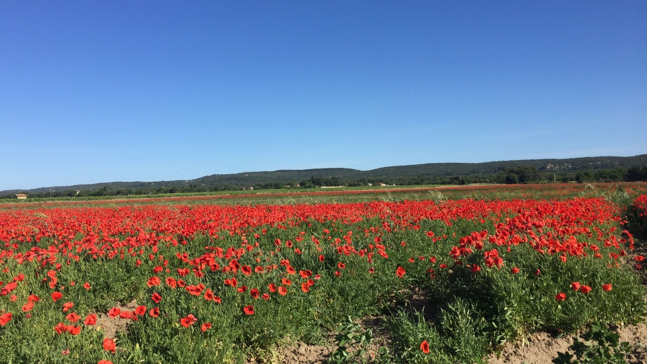 Photo of Outdoor in Saint-Quentin-la-Poterie