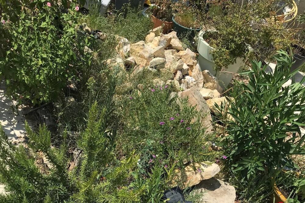 Photo of Outdoor in Caremeau