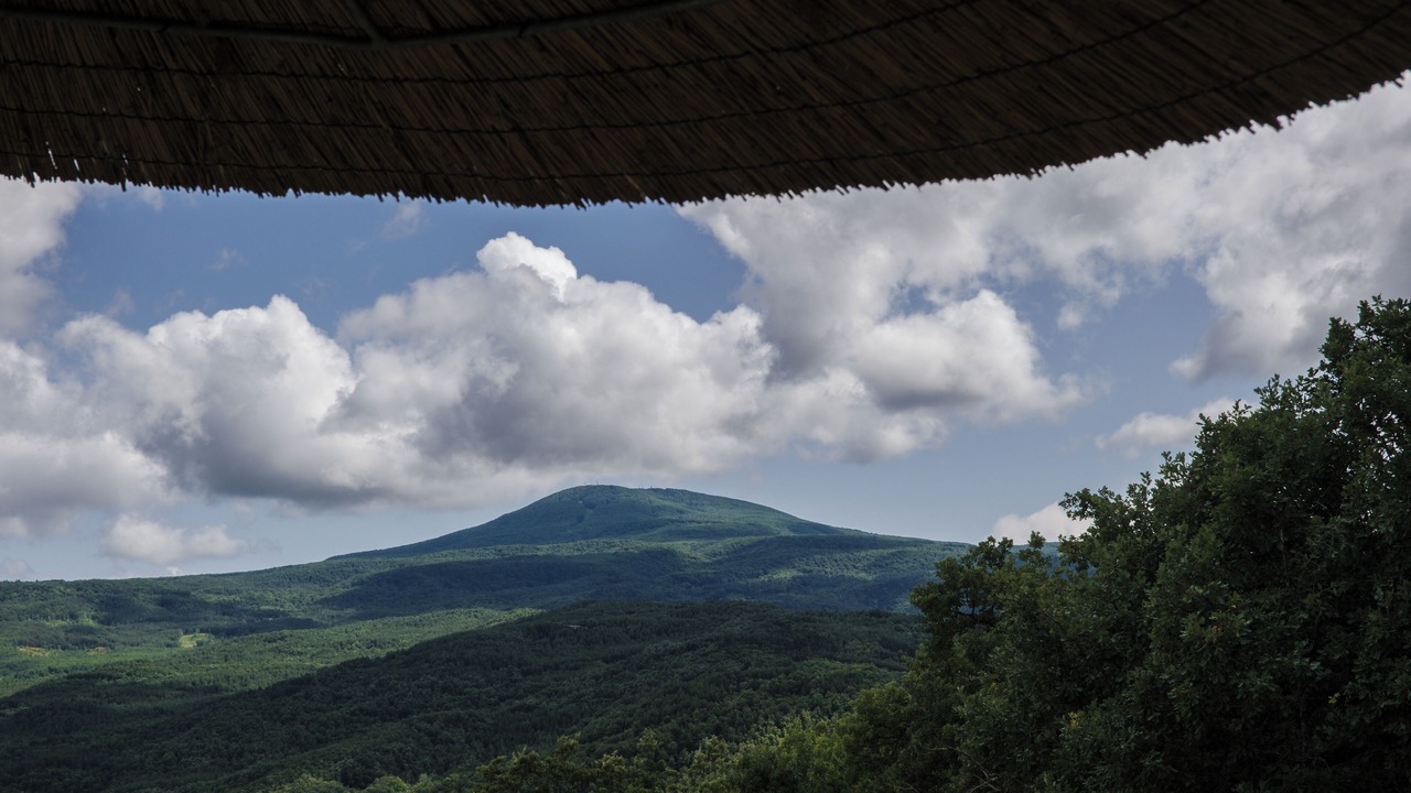 Photo of Outdoor in Castiglione d'Orcia