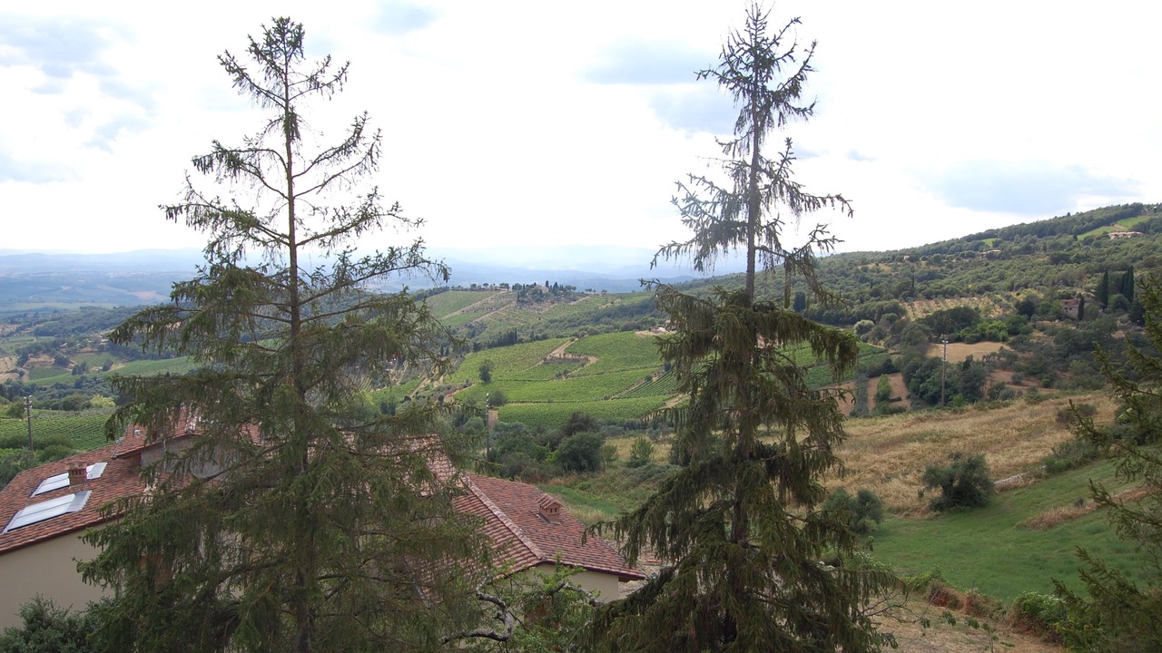 Photo of Outdoor in Castellina in Chianti