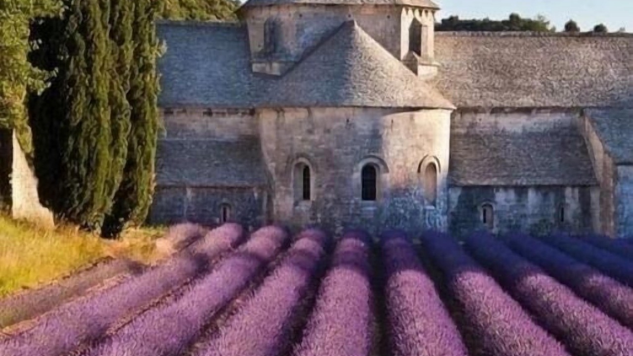 Photo of Others in Saignon