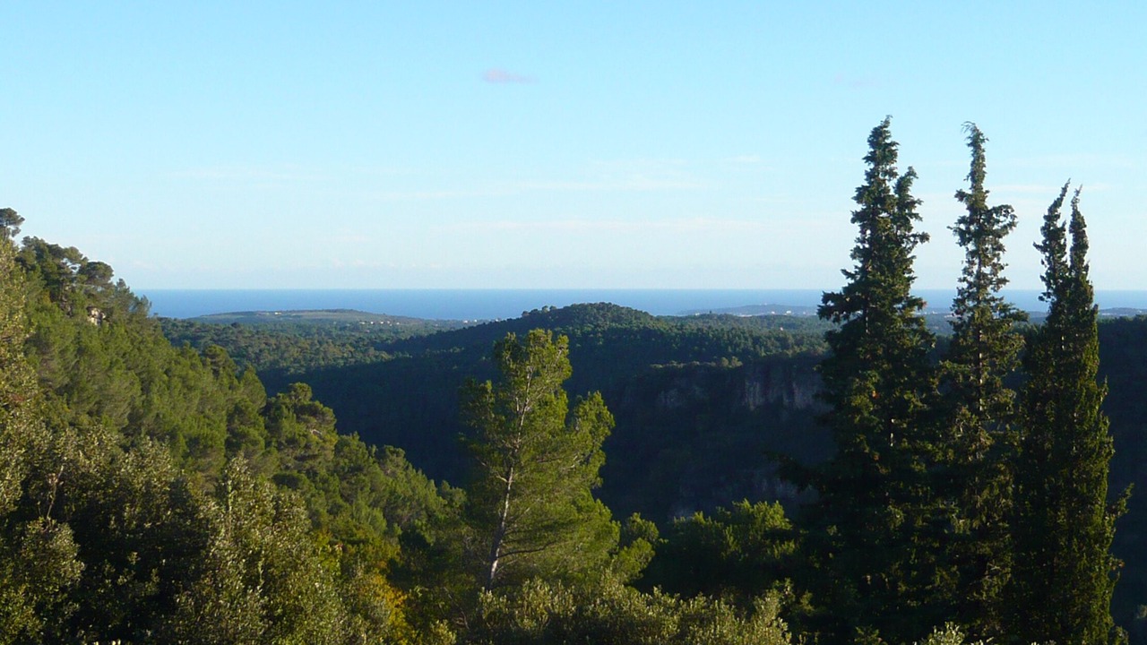 Photo of Others in Tourrettes-sur-Loup