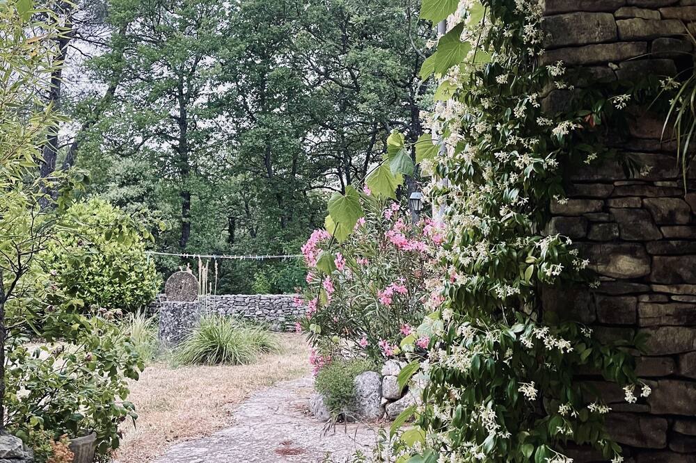 Photo of Outdoor in Bonnieux