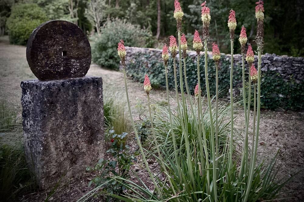 Photo of Outdoor in Bonnieux