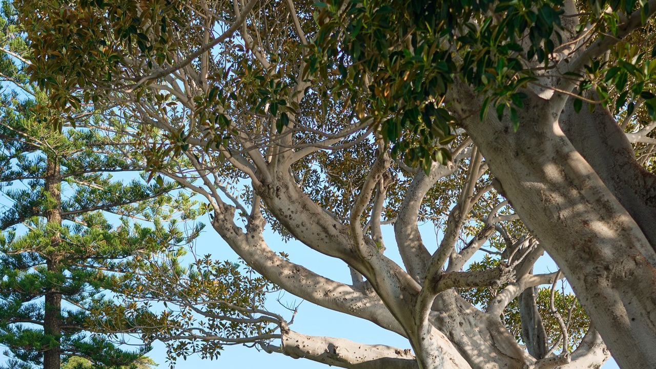 Photo of Outdoor in Eze