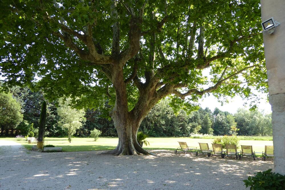 Photo of Outdoor in Saint-Andiol