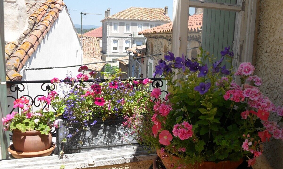Photo of Outdoor in Pouzols-Minervois