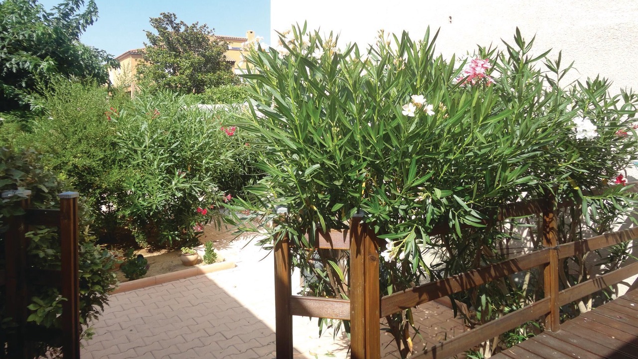 Photo of Outdoor in Villeneuve-les-Beziers