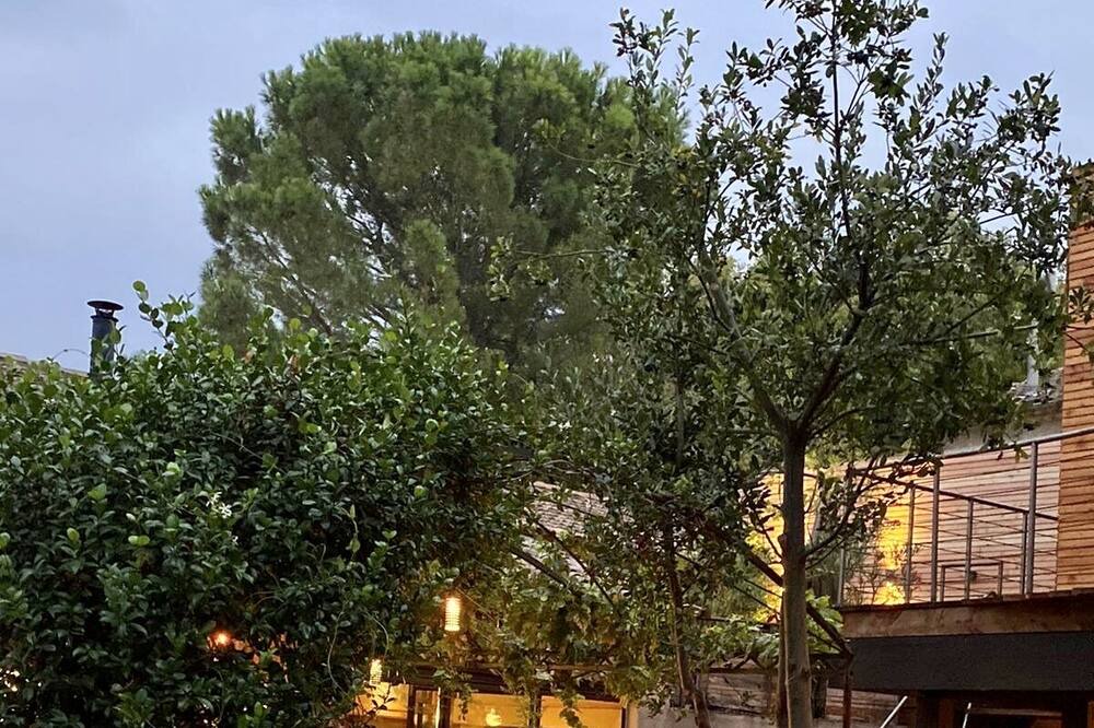 Photo of Outdoor in St.-Remy-de-Provence