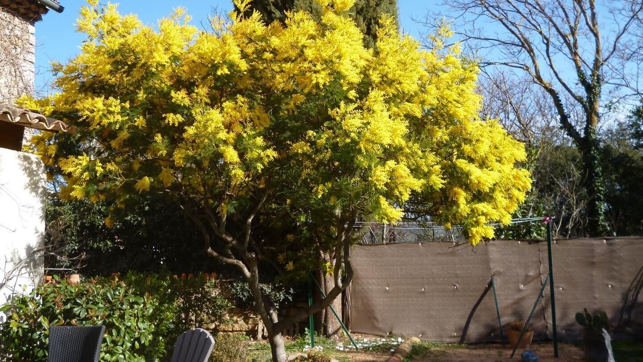 Photo of Outdoor in Cabasse