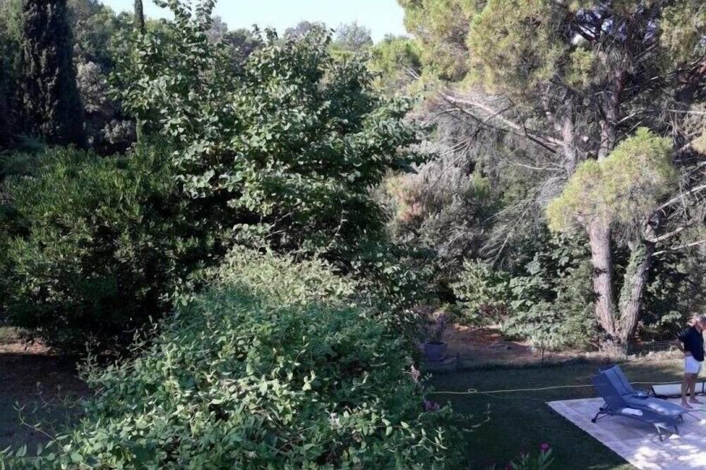 Photo of Outdoor in Cabasse