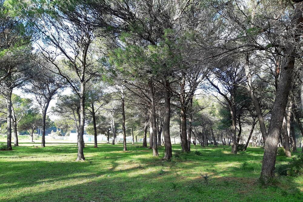 Photo of Others in Istres