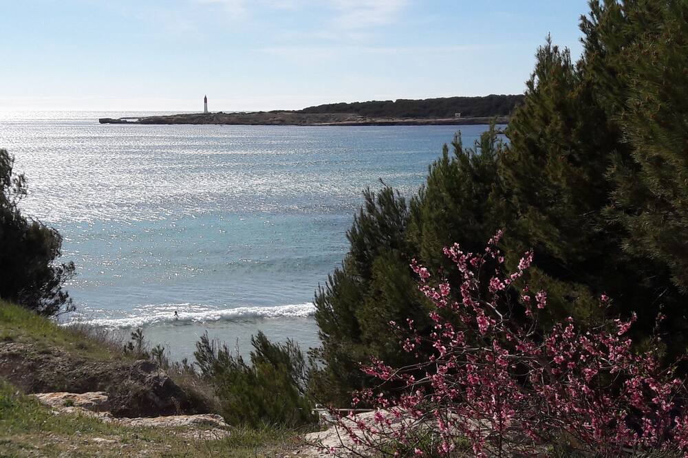 Photo of Others in Istres