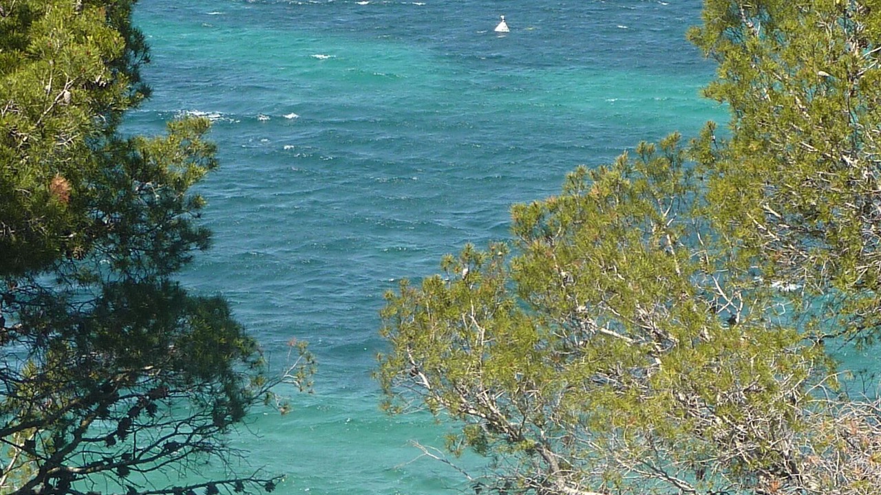 Photo of Others in Antheor